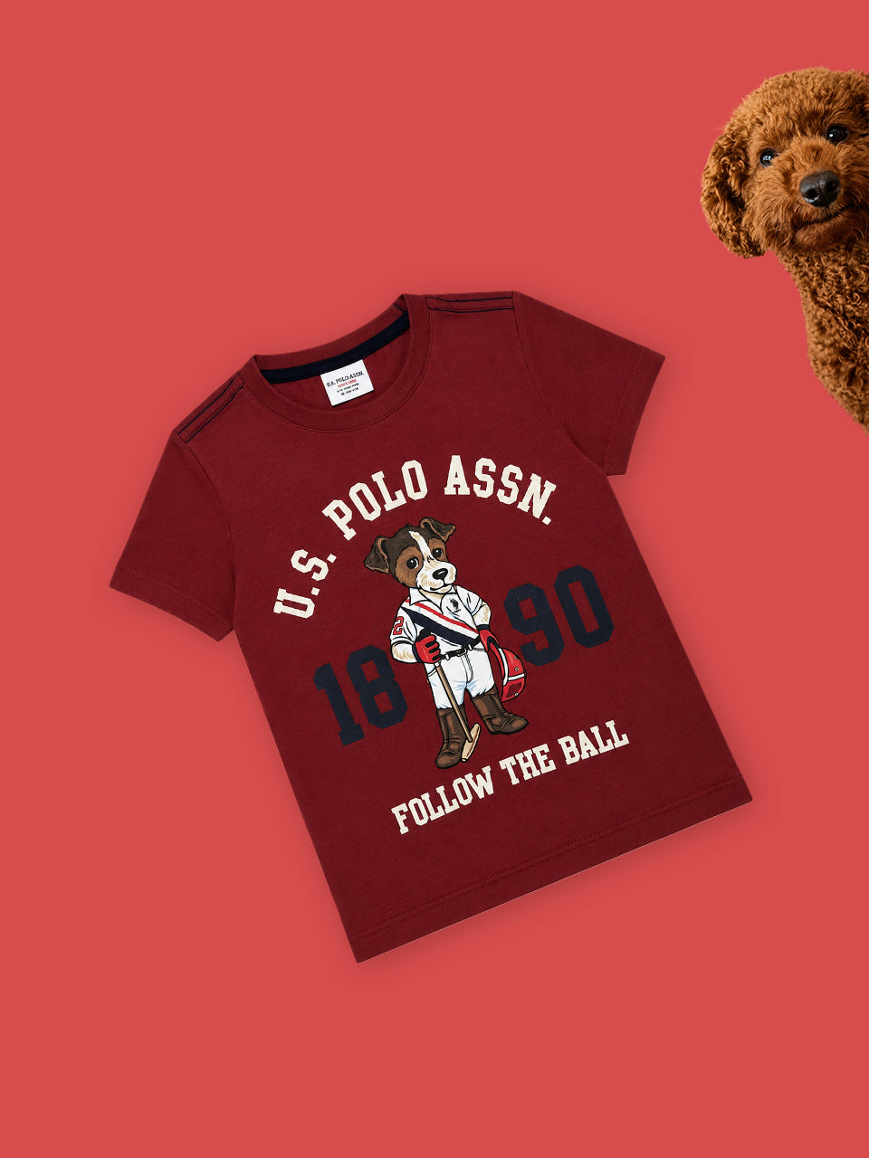 T-shirt me ilustrim qenushi polo