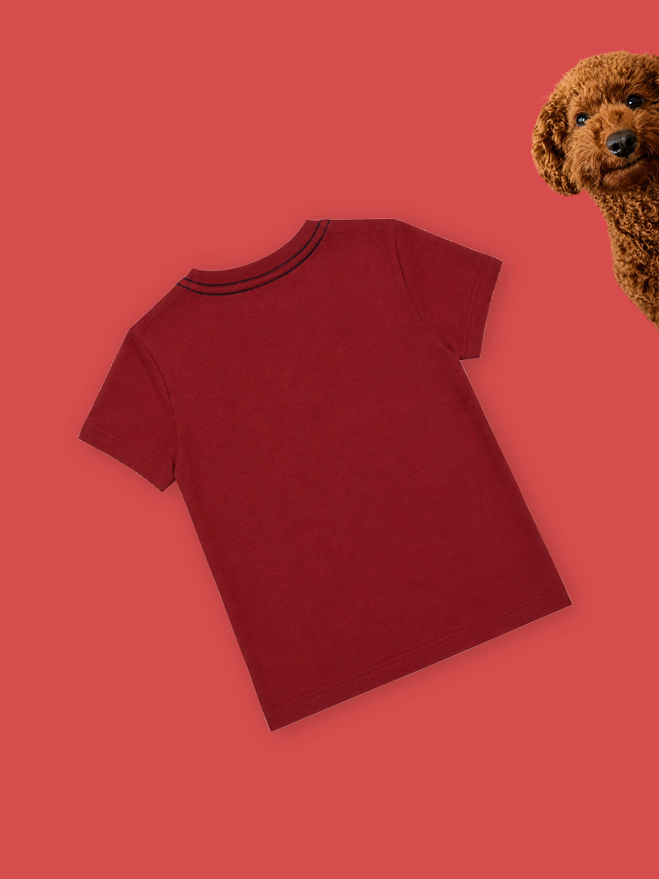 T-shirt me ilustrim qenushi polo