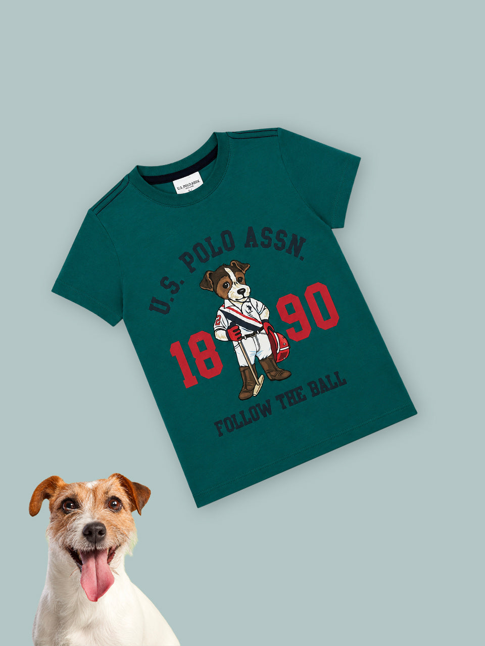T-shirt me ilustrim qenushi polo